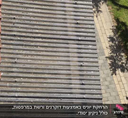 גג מתכת עם לכלוך ופסולת יונים